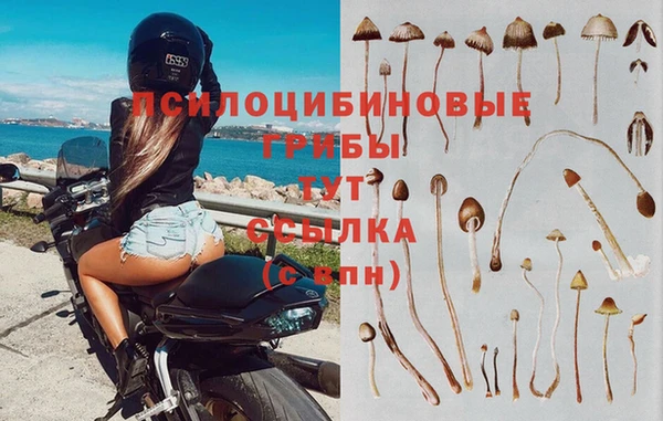 марки lsd Верхний Тагил